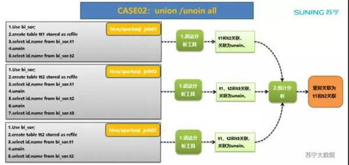 苏宁数据治理三字经 夯实基础软件服务，赋能智能决策