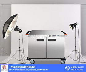 新造镇画册设计服务——凌志营销策划的优质企业解决方案